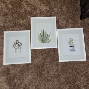 3 Pc. Plant Pictures with frames